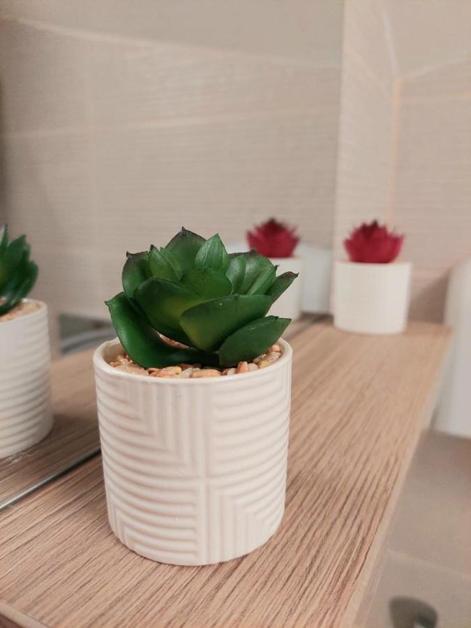 Domino Studio Apartment ซีบิว ภายนอก รูปภาพ